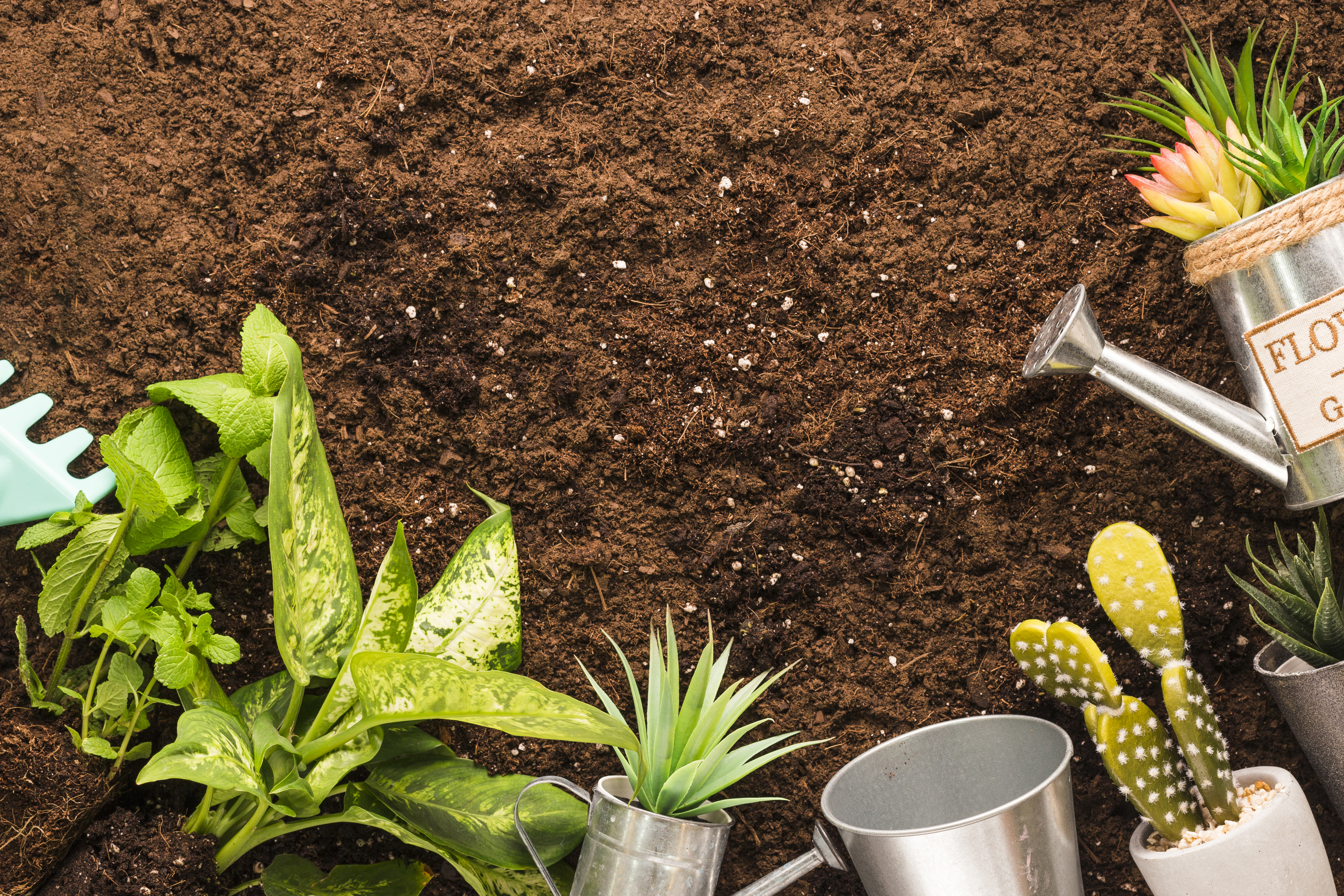 GreenGrow natural fertilizer products - pellets and powder